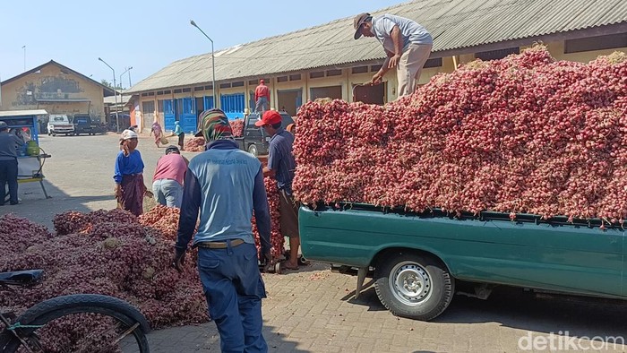 Harga Bawang Merah di Pasar Probolinggo Turun Drastis Dampak Panen Raya